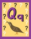 Flash Card Letter Q nouns.