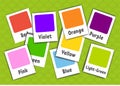 Flash cards. Learning colors. Vector illustration isolated on green background. Cartoon style