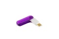 The flash drive Royalty Free Stock Photo