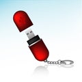 Flash Drive Keychain Icon