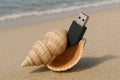 Flash drive in a shell on the beach. Space for text. Royalty Free Stock Photo
