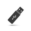 Flash drive USB icon