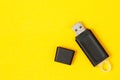 Flash drives are the cause of computer viruses Royalty Free Stock Photo