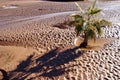 Flash flood leaves a muddy landscape Royalty Free Stock Photo