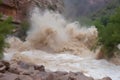 flash flood roars down a canyon, carrying debris and forming powerful current