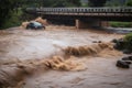 flash flood rushing past bridge, with vehicles and people at risk of being swept away