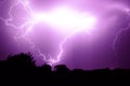 Flash of lightning in the night sky color it in an incredibly beautiful violet color illuminating the trees Royalty Free Stock Photo