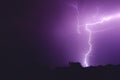 Flash of lightning in the night sky color it in an incredibly beautiful violet color illuminating the trees Royalty Free Stock Photo