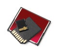 Flash Memory Cards Royalty Free Stock Photo