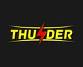 Flash Thunderbolt Energy Power Logo vector linear battery icon Royalty Free Stock Photo