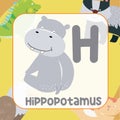 animals alphabet flashcard for toddlers. Cute animal vector design. H for Hippopotamus Royalty Free Stock Photo