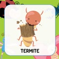 Animal flashcard. Cute insect flashcards for Children. Bugs flashcards cute character. termite flashcard