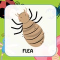 Animal flashcard. Cute insect flashcards for Children. Bugs flashcards cute character. flea flashcard