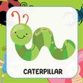 Animal flashcard. Cute insect flashcards for Children. Bugs flashcards cute character. Caterpillar flashcard