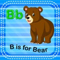 Flashcard letter B is for bear