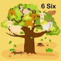 Flashcard number six with 6 goat learning for kid