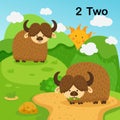 Flashcard number two with 2 yak learning for kid