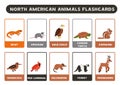 Cute North American animals with names. Flashcards for learning English.