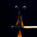 Flashed and burning wooden match on a dark background close-up. Bright fire and smoke from a burning tree Royalty Free Stock Photo