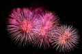 Flashes of festive pink salute fireworks