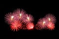 Flashes of fireworks of pink and red color Royalty Free Stock Photo