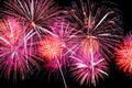 Flashes of fireworks of red and pink colors Royalty Free Stock Photo