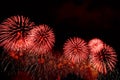Flashes of red fireworks and white sparks against black sky Royalty Free Stock Photo