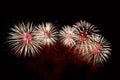 Flashes of red and white fireworks against black sky Royalty Free Stock Photo