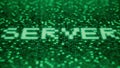 Flashing hexadecimal symbols on a green computer screen compose SERVER word. 3D rendering