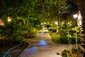 Flashlight beam, Freezelight at night on empty footpath through the village in the jungle forest. Lots of greenery, wooden houses