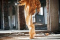 With flashlight. Man dressed in chemical protection suit in the ruins of the post apocalyptic building