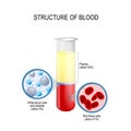 Flask with blood components: red and white blood cells, plasma, and platelets