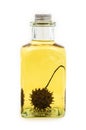 Flask of oil with sweetgum fruit