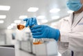 Flasks with brown liquid in scientist hands with dropping chemical liquid to test tubes, science and medical research