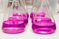 Flasks with liquid colored pink. Chemical analysis, organic test of water in laboratory