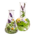 Flasks with medicinal herbs