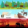 Flat Animal Banners Set