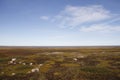 Flat arctic landscape in the summer with blue skies
