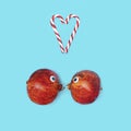 Flat arrangement consist of two pomegranates with two candy canes that form heart shape on the pastel blue background. Used wiggle