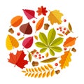 Flat autumn leaves. Colorful fall park leaf maple elm oak chestnut, geometric flat foliage. Round fall themed vector