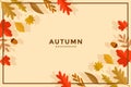 flat autumn leaves design background vector