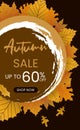 Flat autumn sale template