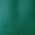 flat blank green leather texture