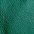 flat blank green leather texture