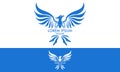 Blue Color Phoenix Bird with Spread Wing Logo Design