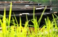 Flat boats on the backwater in summer