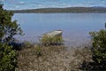 Flat bottomed tinny in the shallows & mangroves across from the oyster farms in Merimbula. Royalty Free Stock Photo