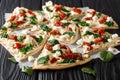 Flat bread with hummus, sun-dried tomatoes, spinach and goat cheese close-up. horizontal