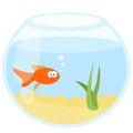 Flat cartoon aquarium