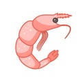 Flat cartoon colorful shrimp icon